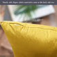 Velvet Cushion Cover